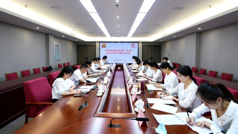 尊龙凯时集团党委书记、董事长任丁参加总部第一党支部党史学习教育专题组织生活会