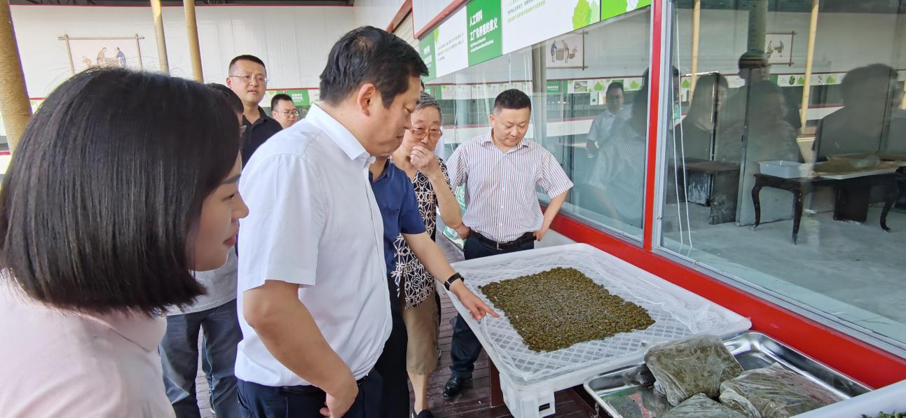 省尊龙凯时集团党委副书记、董事陈日赴嘉陵区调研茶桑产业发展情况